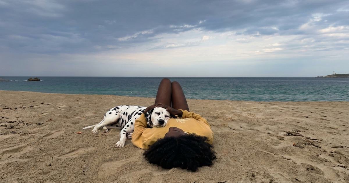 Pets on the move with their people